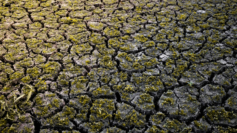 SOIL 