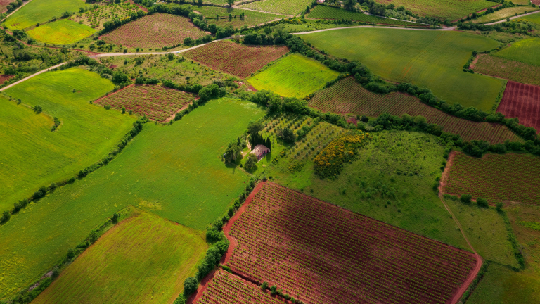 Land_1