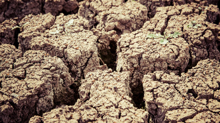 https://unsplash.com/photos/cracked-brown-soil-srwTnERpPv0