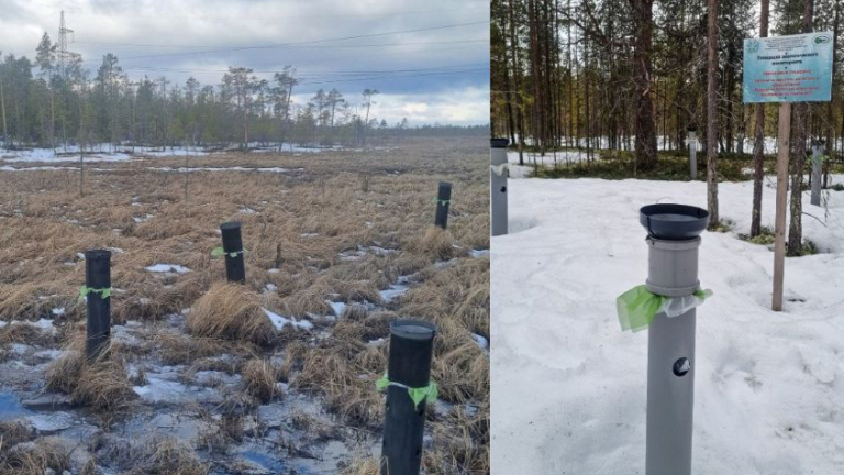 https://ecologyofrussia.ru/lovushki-dlya-dozhdya-i-dykhaniya-pochvy-rasstavlyayut-uchenye-v-arktike-/
