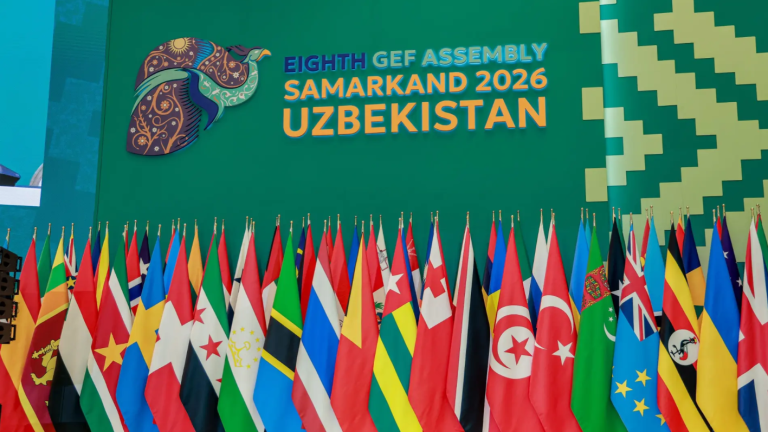 https://gov.uz/ru/eco/news/view/174456