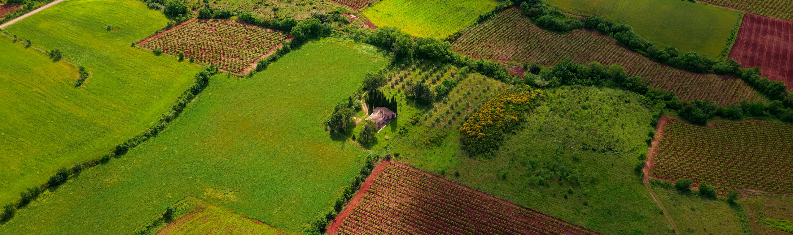 Land_1