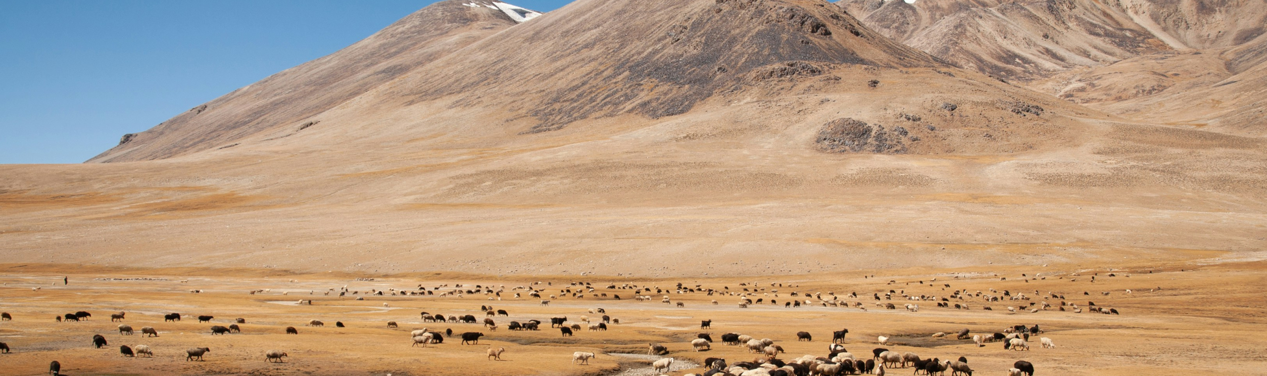 Tajikistan_