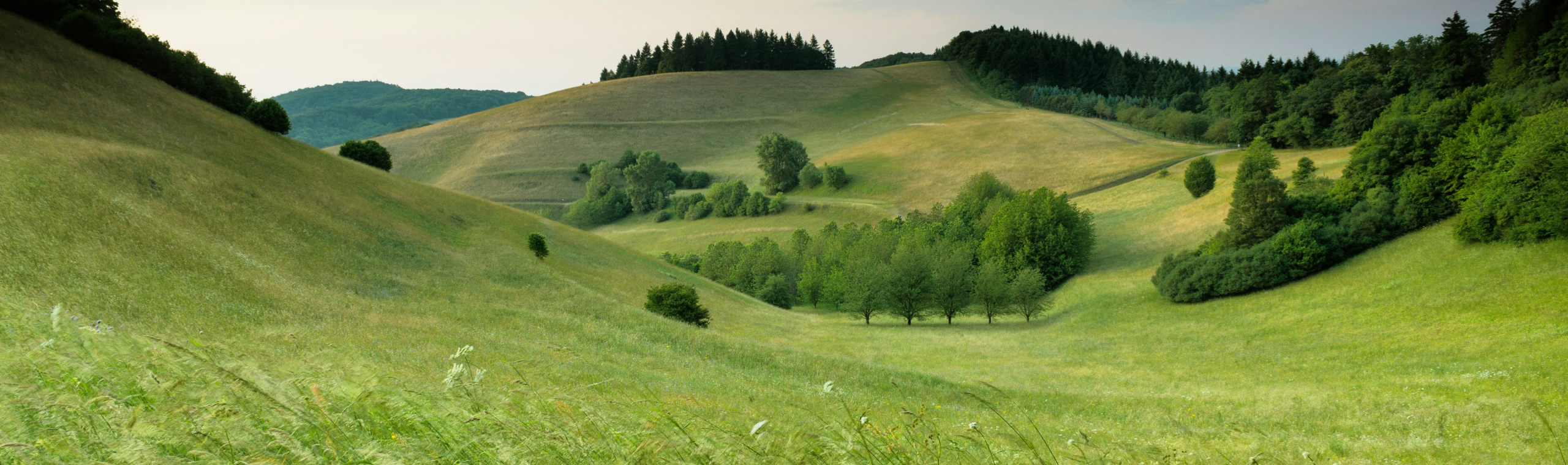 https://unsplash.com/photos/green-hills-with-forest-under-cloudy-sky-during-daytime--SO3JtE3gZo