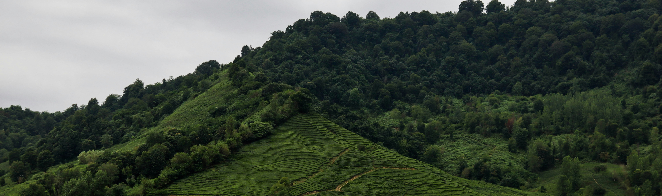 https://unsplash.com/photos/a-lush-green-mountain-beneath-a-cloudy-sky-iTdIKNKw9qc