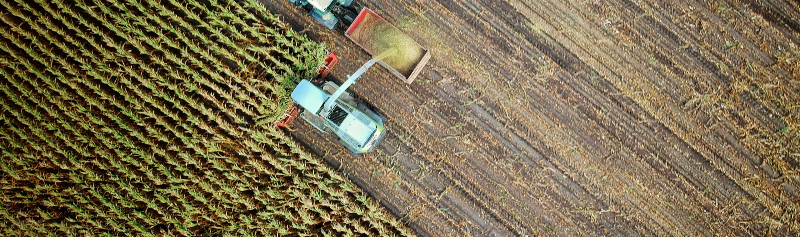 https://unsplash.com/photos/two-trucks-on-plant-field-l_5MJnbrmrs