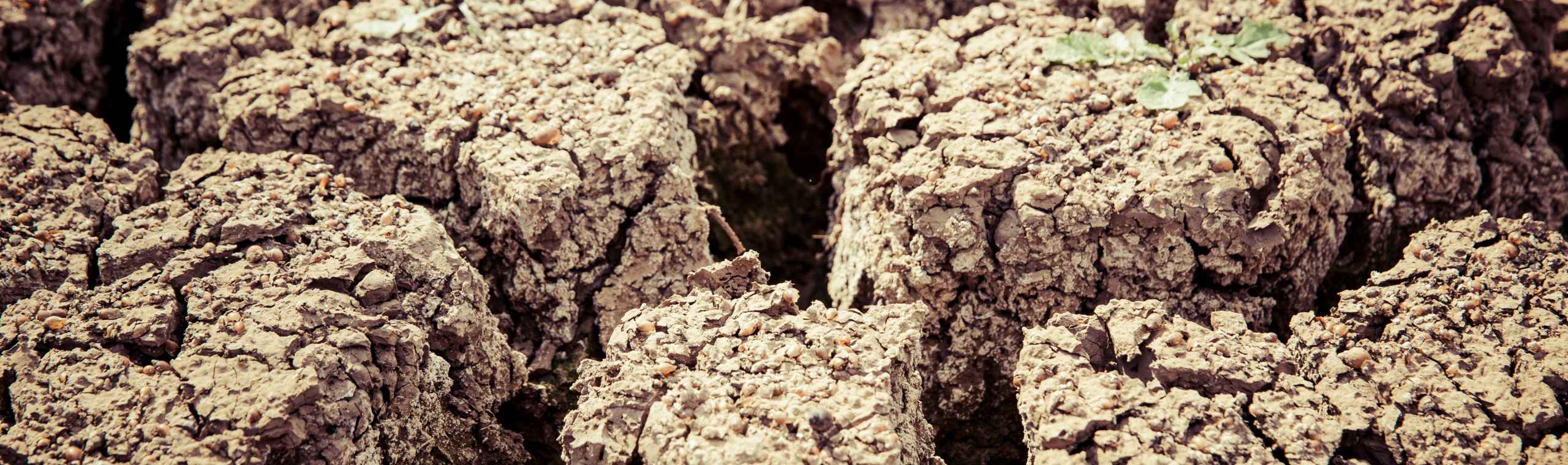 https://unsplash.com/photos/cracked-brown-soil-srwTnERpPv0