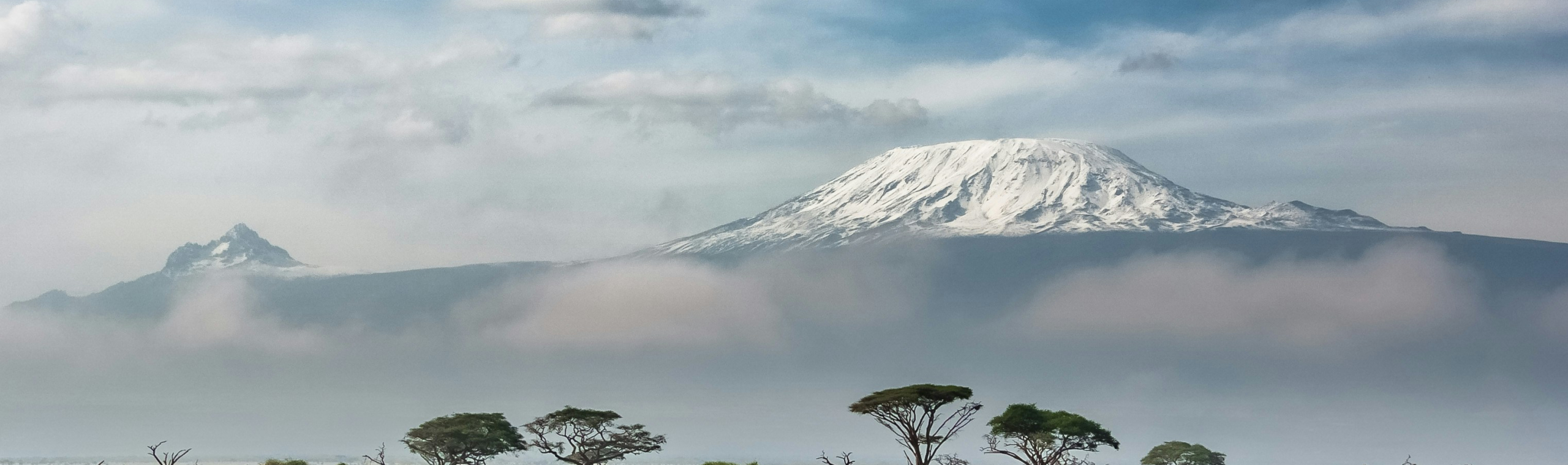 https://unsplash.com/photos/green-leaf-tree-near-mountain-covered-by-snow-at-daytime-DWXR-nAbxCk