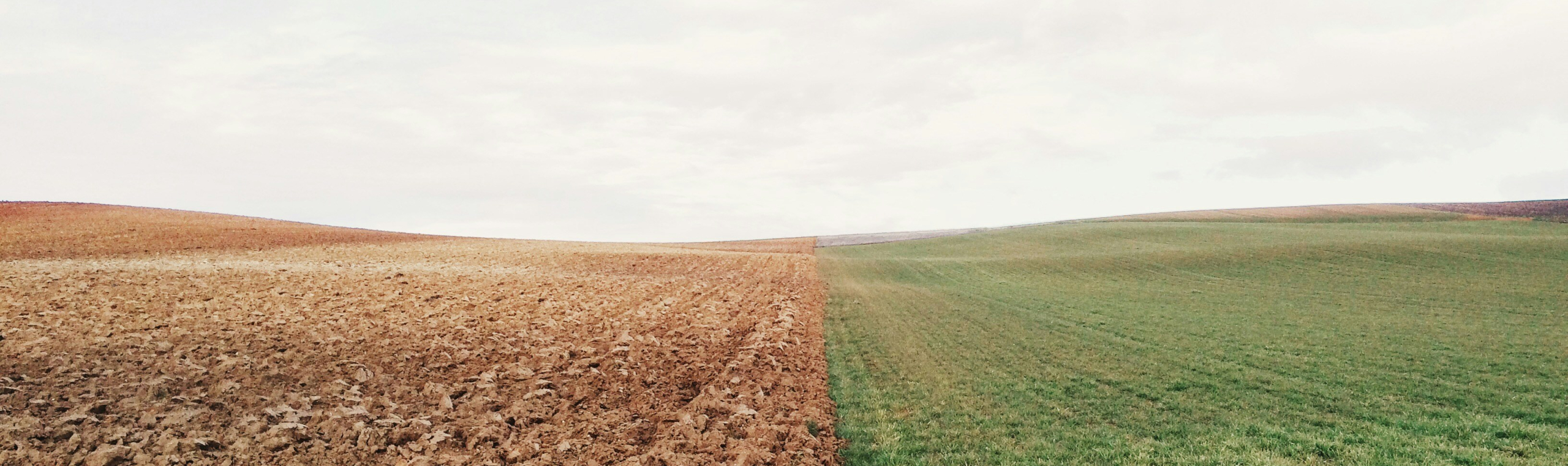 https://unsplash.com/photos/green-grass-field-and-brown-soil-YbgPWfWlvkE