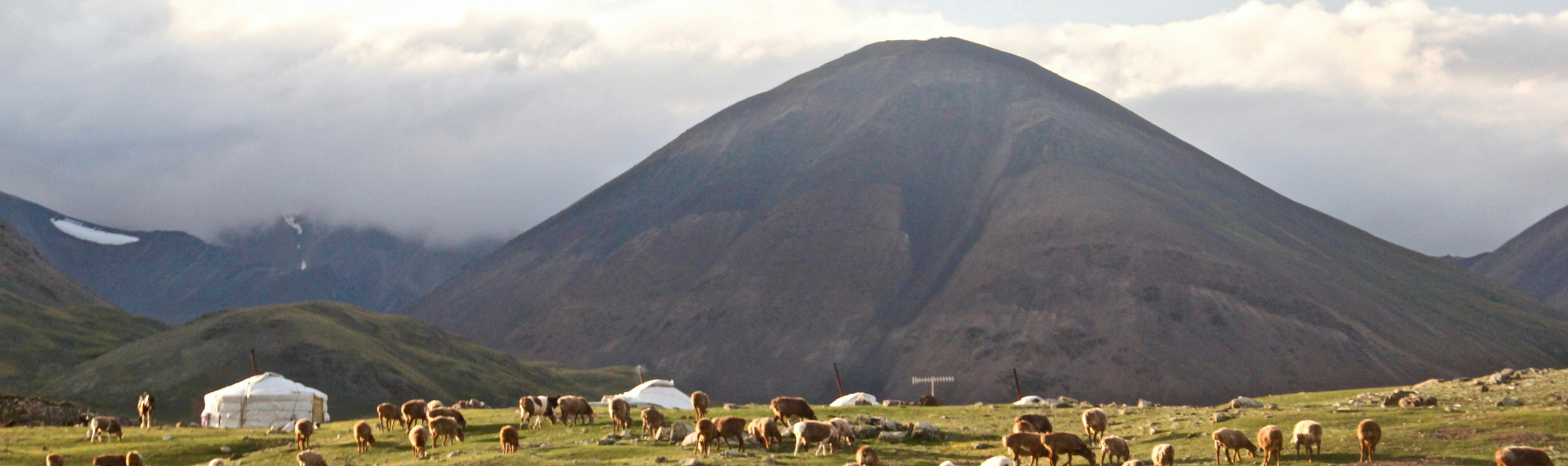 https://unsplash.com/photos/white-sheep-on-green-grass-field-near-mountain-during-daytime-ogoOCZ9SdYw
