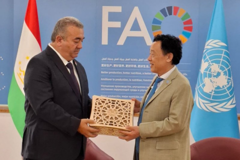Dushanbe to Host FAO Regional Conference 